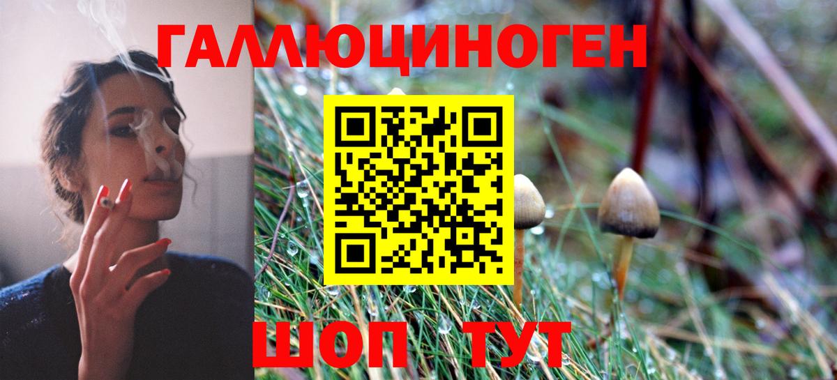 Галлюциногенные грибы прущие грибы Кохма