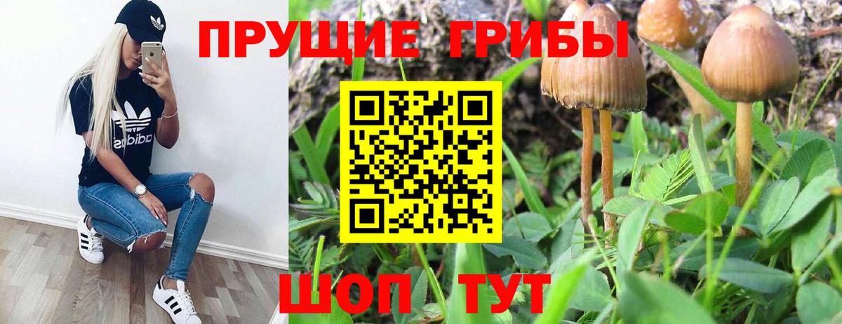 Галлюциногенные грибы мицелий  Вход с VPN  Псилоцибиновые грибы мухоморы  Кохма 